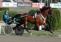 Quality Questioned 160916-3